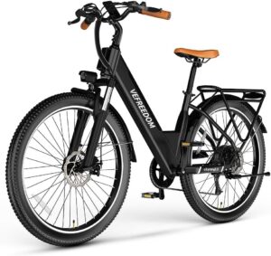 Our Take on the 1000W Peak Electric Bike: Power Meets Endurance